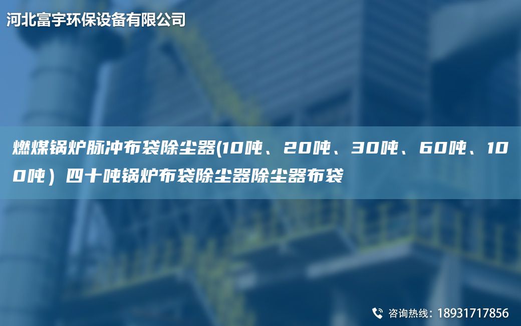 燃煤鍋爐脈沖布袋除塵器(10噸、20噸、30噸、60噸、100噸）四十噸鍋爐布袋除塵器除塵器布袋