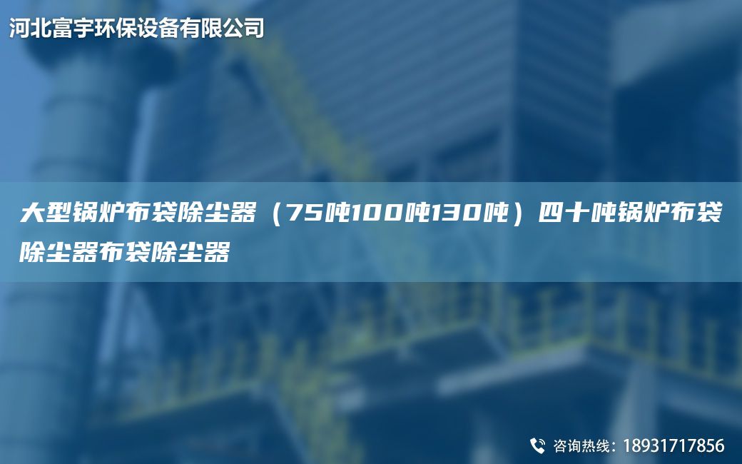大型鍋爐布袋除塵器（75噸100噸130噸）四十噸鍋爐布袋除塵器布袋除塵器