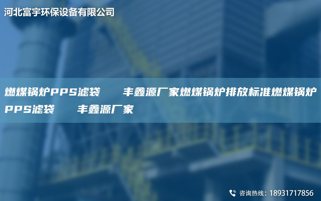 燃煤鍋爐PPS濾袋   豐鑫源廠(chǎng)家燃煤鍋爐排放標準燃煤鍋爐PPS濾袋   豐鑫源廠(chǎng)家