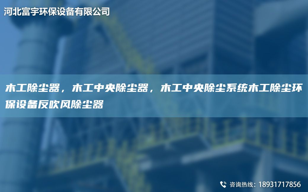 木工除塵器，木工中央除塵器，木工中央除塵系統木工除塵環(huán)保設備反吹風(fēng)除塵器