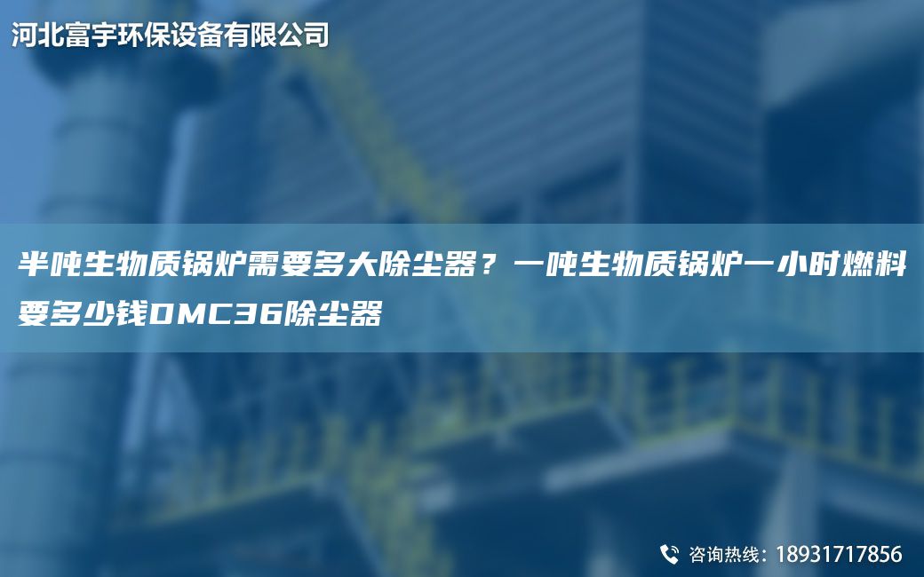 半噸生物質(zhì)鍋爐需要多大除塵器？一噸生物質(zhì)鍋爐一小時(shí)燃料要多少錢(qián)DMC36除塵器