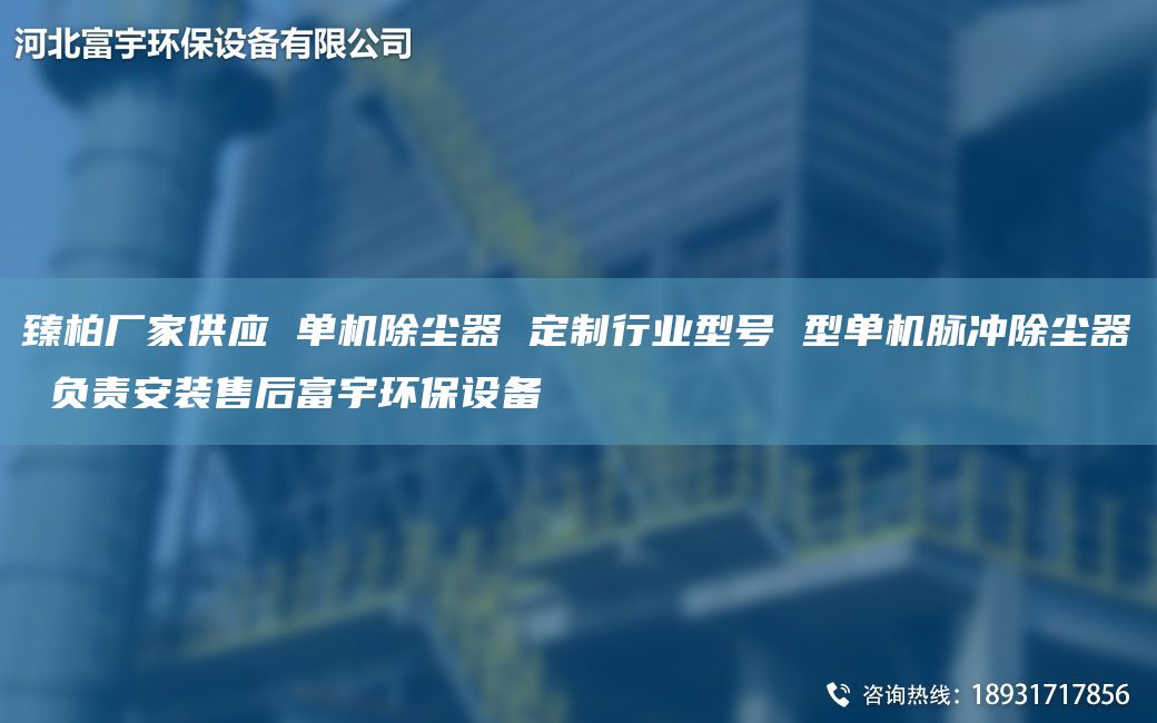 臻柏廠家供應(yīng) 單機除塵器 定制行業(yè)型號 型單機脈沖除塵器 負(fù)責(zé)安裝售后富宇環(huán)保設(shè)備