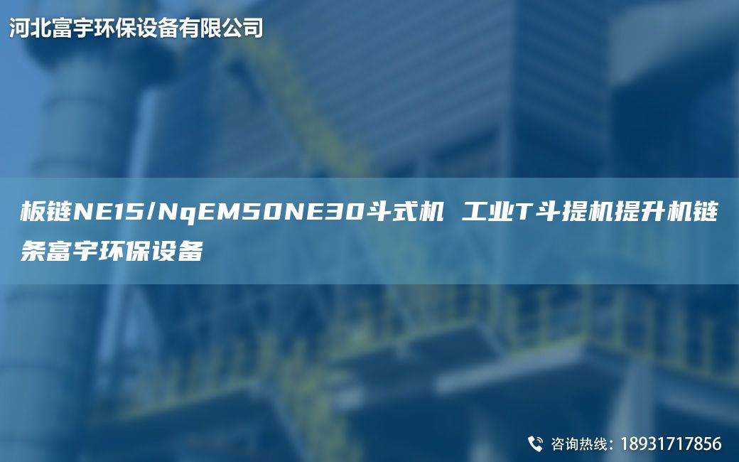 板鏈NE15/NqEM50NE30斗式機 工業(yè)T斗提機提升機鏈條富宇環(huán)保設備