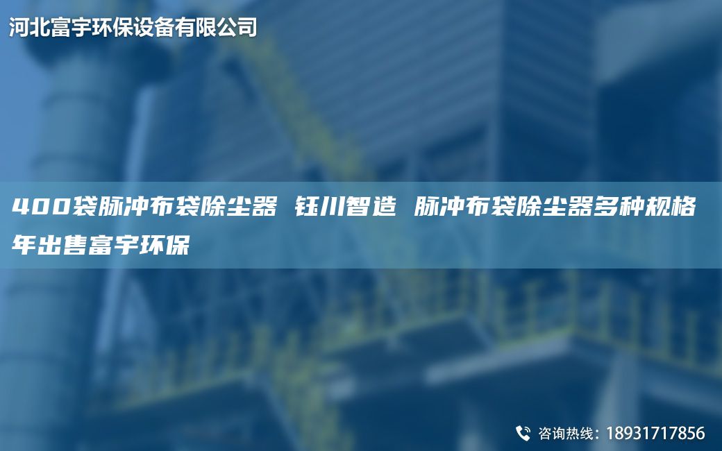 400袋脈沖布袋除塵器 鈺川智造 脈沖布袋除塵器多種規格 NA出售富宇環(huán)保