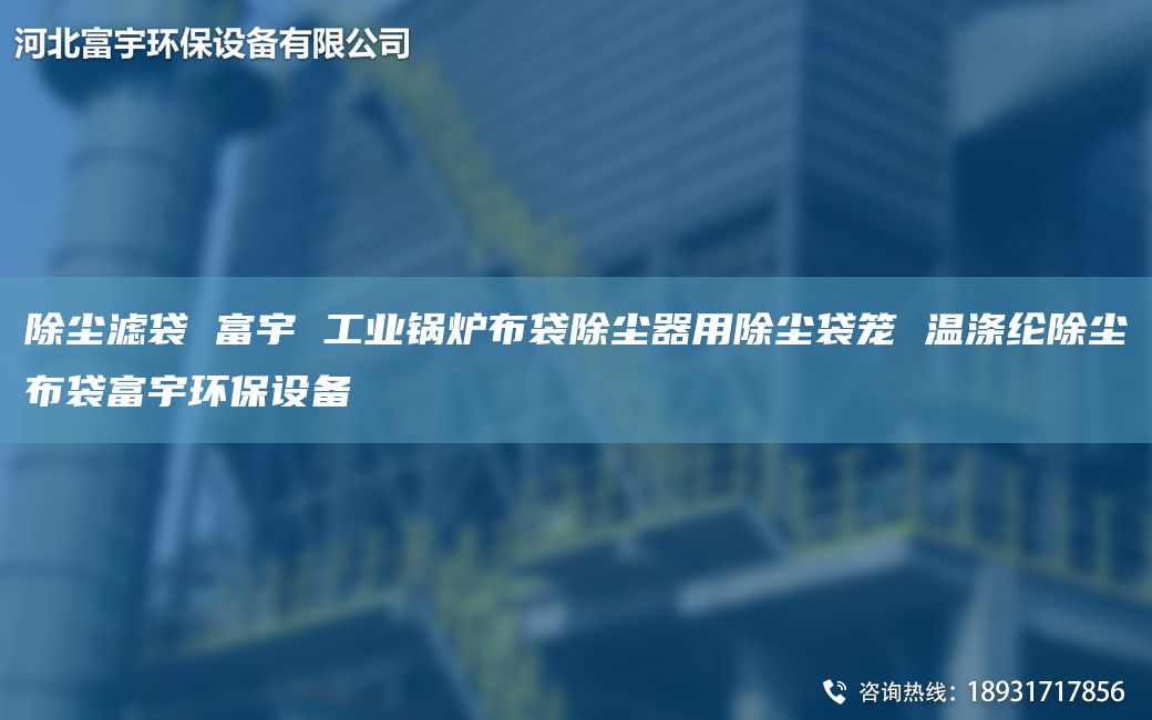 除塵濾袋 富宇 工業(yè)鍋爐布袋除塵器用除塵袋籠 溫滌綸除塵布袋富宇環(huán)保設(shè)備