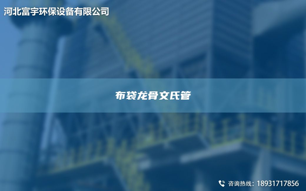 布袋龍骨文氏管