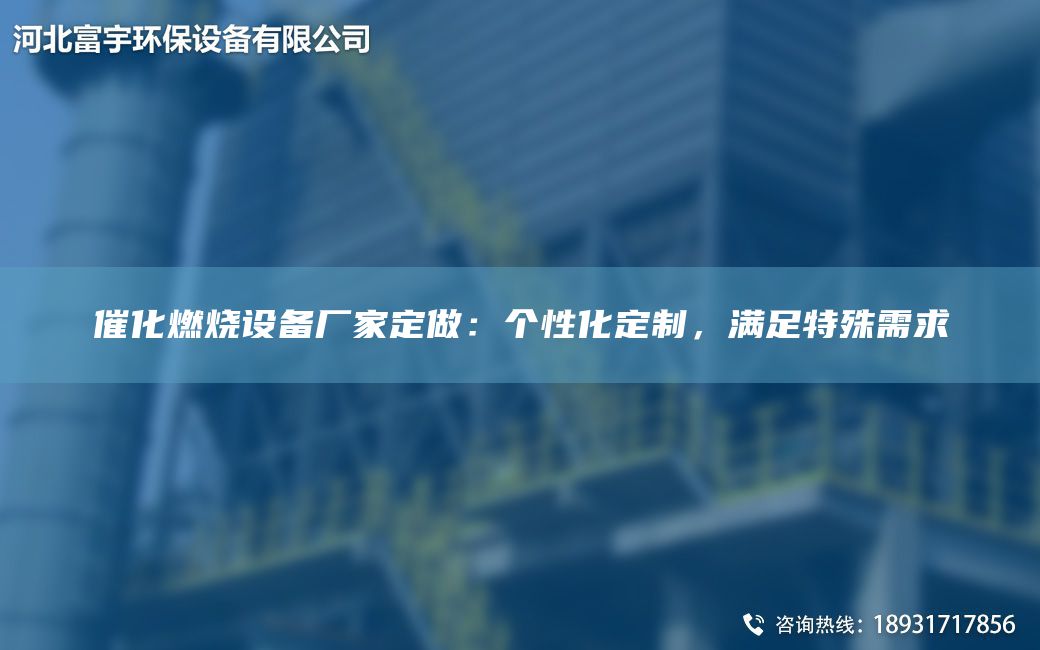 催化燃燒設備廠(chǎng)家定做：個(gè)性化定制，滿(mǎn)足特殊需求